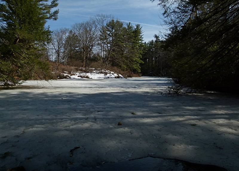 Most of the pond is still frozen, even though the temperature today was in the high 60s.<br />March 18, 2011 - Maudslay State Park, Newburyport, Massachusetts.