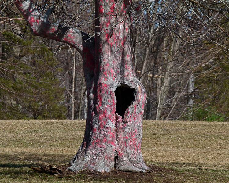 The remains of last years Outdoor Sculpture Show.<br />March 18, 2011 - Maudslay State Park, Newburyport, Massachusetts.