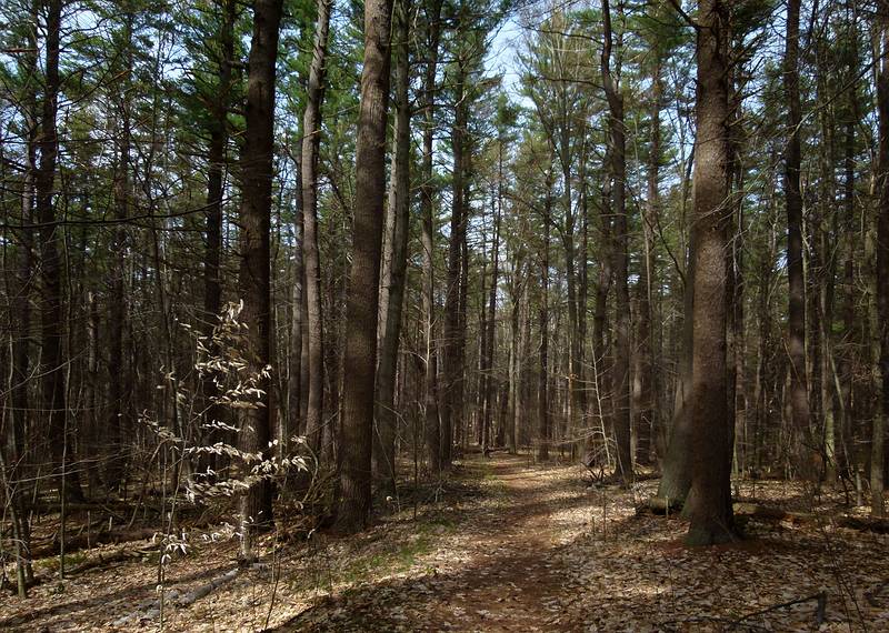 April 27, 2011 - Maudslay State Park, Newburyport, Massachusetts.