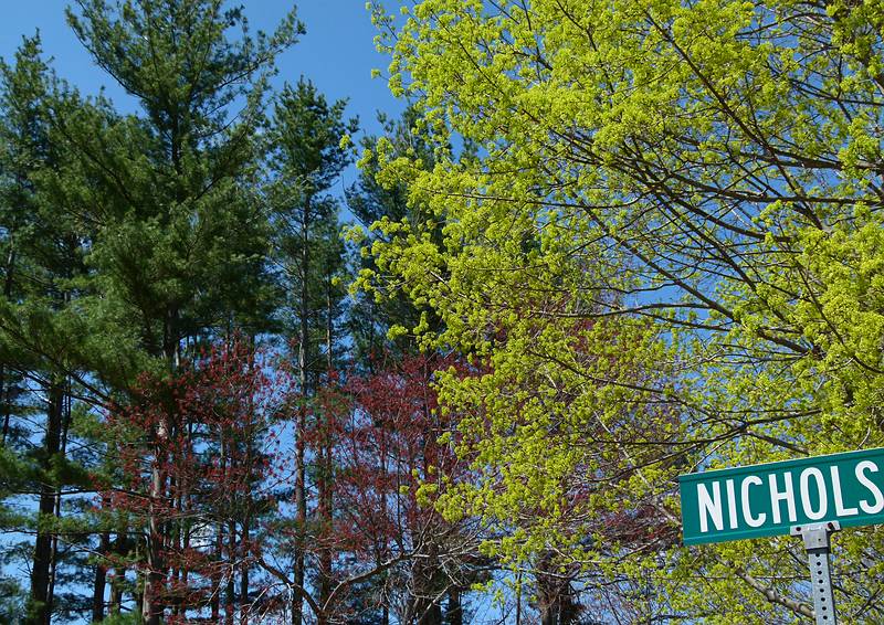 Along our usual two mile walk.<br />April 29, 2011 - Merrimac, Massachusetts.