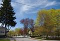 Along Grove Street.<br />May 2, 2011 - Merrimac, Massachuetts.