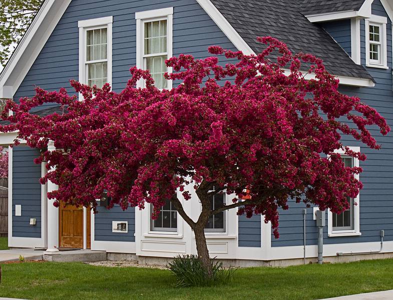 May 10, 2011 - Merrimac, Massachusetts.