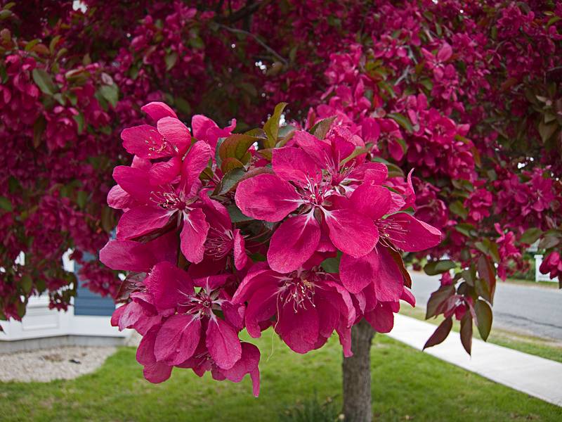 May 10, 2011 - Merrimac, Massachusetts.