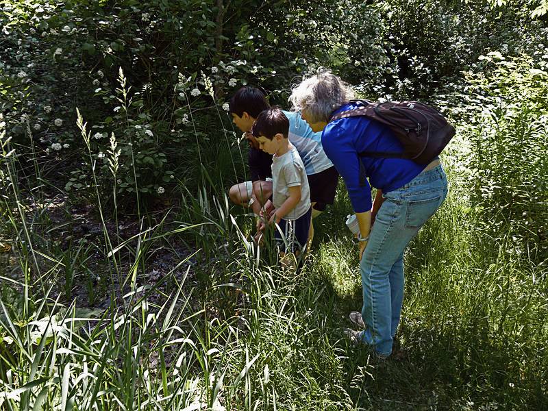Gujn, Marks, and Joyce looking for something.<br />June 15, 2011 - Maudslay State Park, Newburyport, Massachusetts.