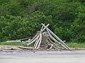 June 17, 2011 - Sandy Point State Reservation, Plum Island, Massachusetts.