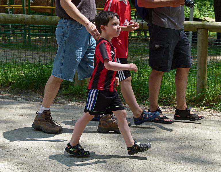 Marks keeping pace with the rest of them.<br />June 18, 2011 - Southwick Zoo, Mendon, Massachusetts.