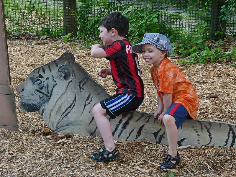 Marks and Matthew riding a white tiger (even though it's only of paper).<br />June 18, 2011 - Southwick Zoo, Mendon, Massachusetts.