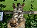 Another kind of a zebra.<br />June 18, 2011 - Southwick Zoo, Mendon, Massachusetts.