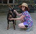 Miranda with goat.<br />June 18, 2011 - Southwick Zoo, Mendon, Massachusetts.