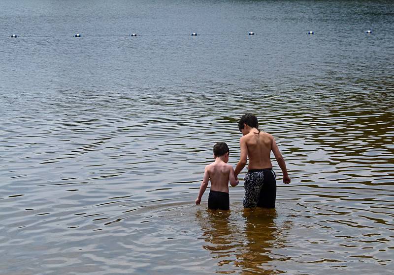 Marks being led by Gujn.<br />June 20, 2011 - Pawtuckaway State Park, Nottingham, New Hampshire.