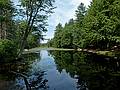 June 20, 2011 - Pawtuckaway State Park, Nottingham, New Hampshire.