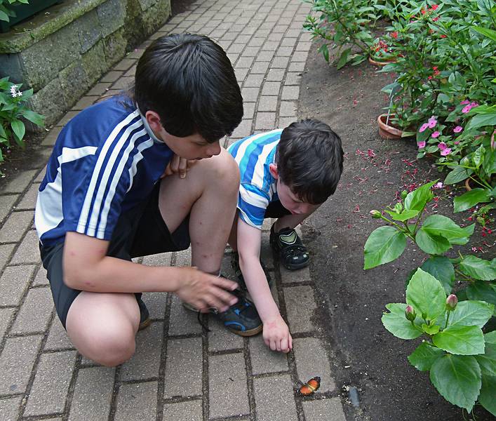 Gujn and Marks, who is tempted to touch the butterfly.<br />June 27, 2010 - The Butterfly Place in Westford, Massachusetts.
