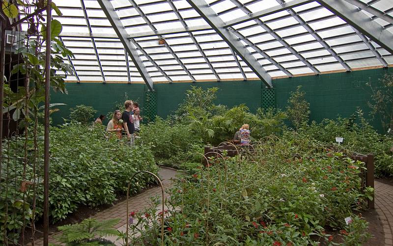 June 27, 2010 - The Butterfly Place in Westford, Massachusetts.