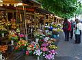 Betsy, Joyce, Carolyn, and Baiba.<br />At the flower market on the Esplanade.<br />June 2, 2011 - Riga, Latvia.