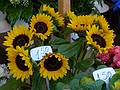 At the flower market on the Esplanade.<br />June 2, 2011 - Riga, Latvia.