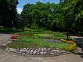 Flowers along the city canal.<br />June 12, 2011 - Riga, Latvia.