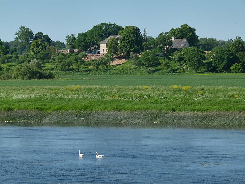 View from a path along Lielupe on the palace property.<br />June 7, 2011 - Meotne, Latvia.