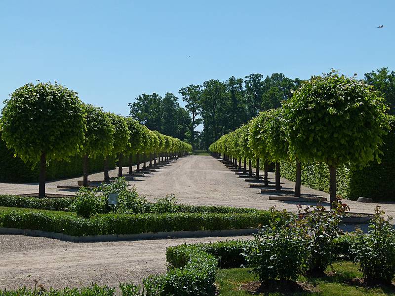 June 7, 2011 - Rundale Palace, Pilsrundale, Latvia.