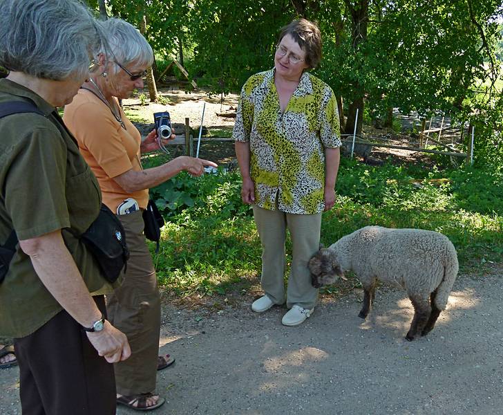 Joyce, Baiba, and the farmer's wife discussing sheep.<br />On an eco farm.<br />June 8, 2011 - North of Aluksne, near the Estonian border, Latvia.