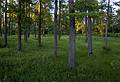 June 8, 2011 - Gulbene, Latvia.