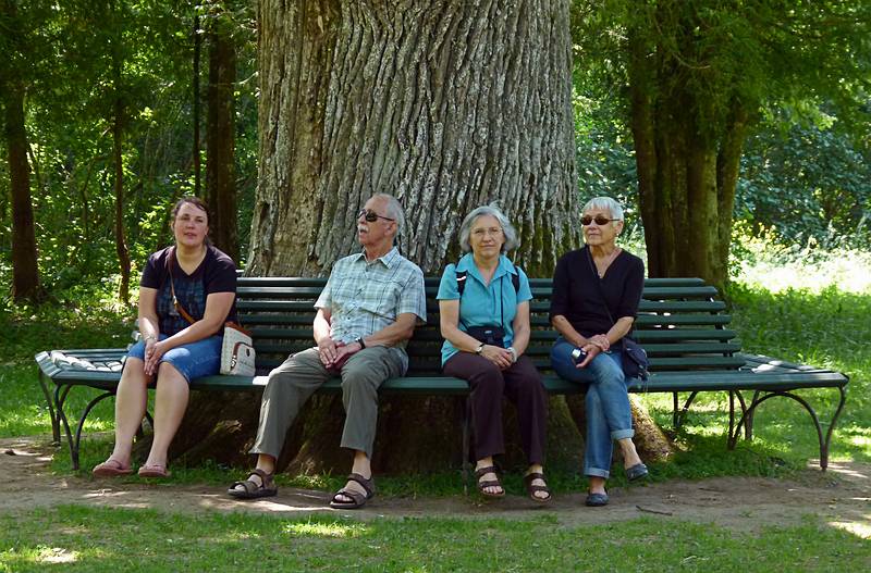 Anete, Ronnie, Joyce, Baiba at big oak decorated with wedding objects<br />thrown into it by wedding parties.<br />Birinu Palace grounds.<br />June 11, 2011 - Birini, Latvia.