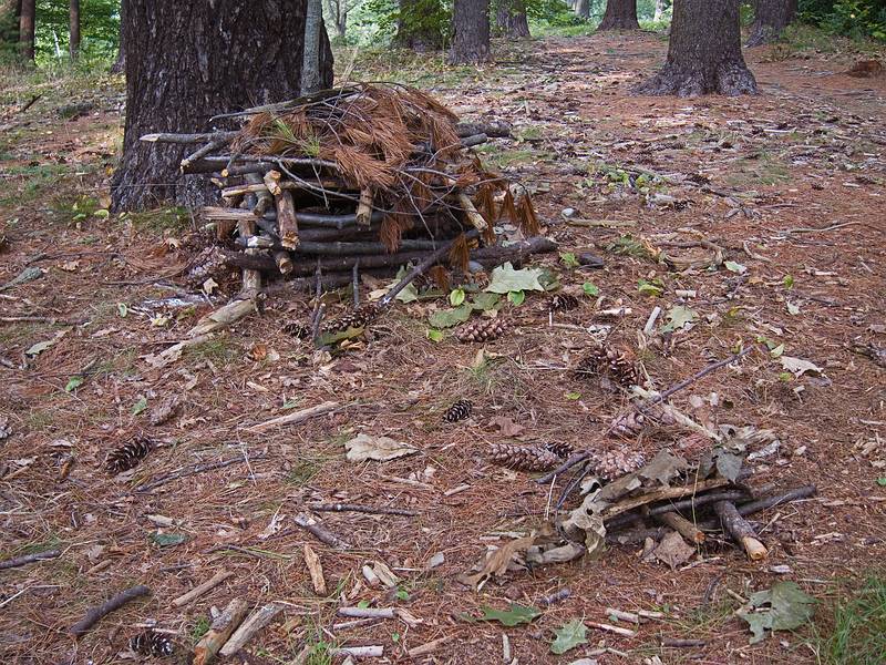 Sept. 4, 2011 - Maudslay State Park, Newburyport, Massachusetts.