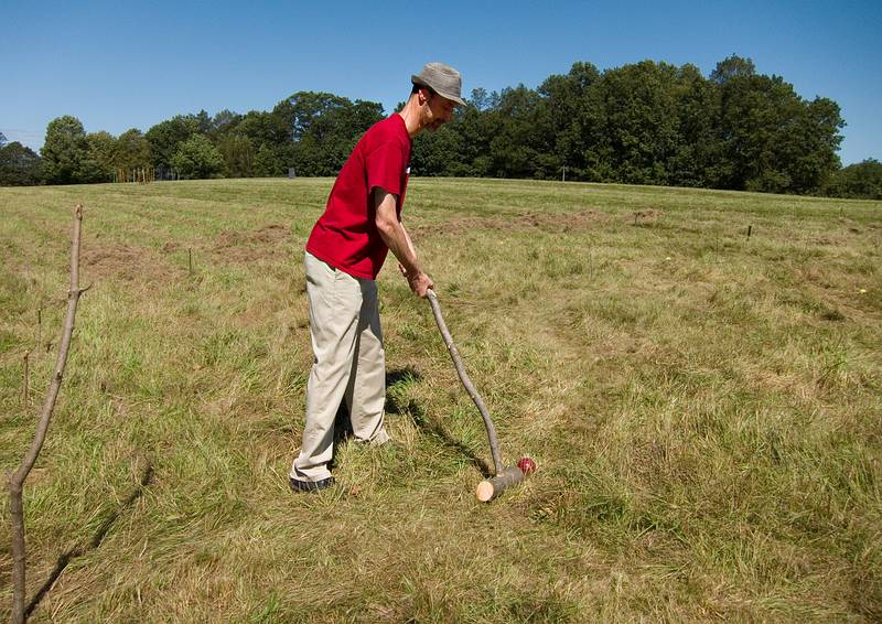 Bert Snow: 'Croquelure', mowed field, wood & paint, mallets, balls, obstacles.<br />'Play', Outdoor Sculpture at Maudslay.<br />Sept. 11, 2011 - Maudslay State Park, Newburyport, Massachusetts.
