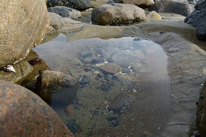 Sept. 25, 2011 - Sandy Point State Reservation, Plum Island, Massachusetts.