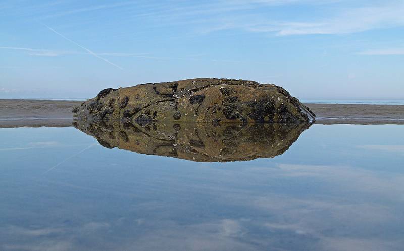 Sept. 25, 2011 - Parker River National Wildlife Refuge, Plum Island, Massachusetts.