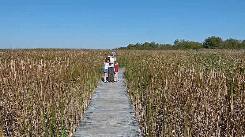 Miranda, Joyce, and Matthew on the March Loop Trail.<br />At Hellcat Wildlife Observation Area.<br />Oct. 8, 2011 - Parker River National Wildlife Refuge, Plum Island, Massachusetts.