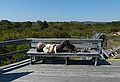 Joyce resting atop the 50 foot dune along the trail.<br />On the Dunes Loop Trail at Hellcat Wildlife Observation Area.<br />Oct. 8, 2011 - Parker River National Wildlife Refuge, Plum Island, Massachusetts.