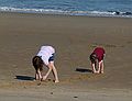 Miranda and Matthew.<br />Oct. 8, 2011 - Parker River National Wildlife Refuge, Plum Island, Massachusetts.