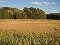 Little River section of the park.<br />Oct. 17, 2011 - Old Town Hill (Trustees of Reservation), Newbury, Massachusetts.