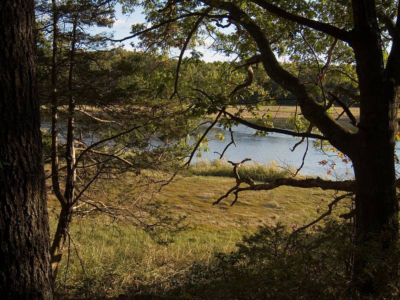 Little River section of the park.<br />Oct. 17, 2011 - Old Town Hill (Trustees of Reservation), Newbury, Massachusetts.