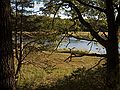 Little River section of the park.<br />Oct. 17, 2011 - Old Town Hill (Trustees of Reservation), Newbury, Massachusetts.