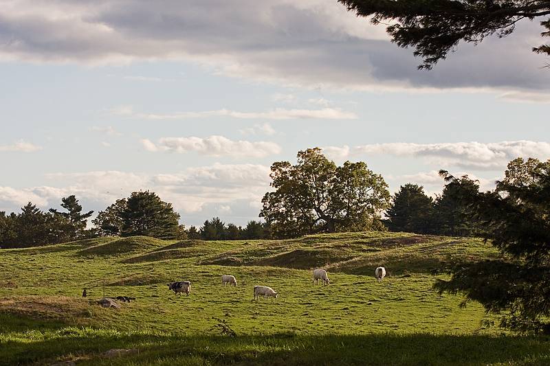Oct. 21, 2011 - Appleton Farms in Ipswich, Massachusetts.