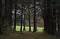 Oct. 21, 2011 - Appleton Farms in Ipswich, Massachusetts.