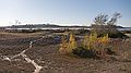 Great Neck in Ipswich across Plum Island Sound.<br />Nov. 5, 2011 - Sandy Point State Reservation, Plum Island, Massachusetts.
