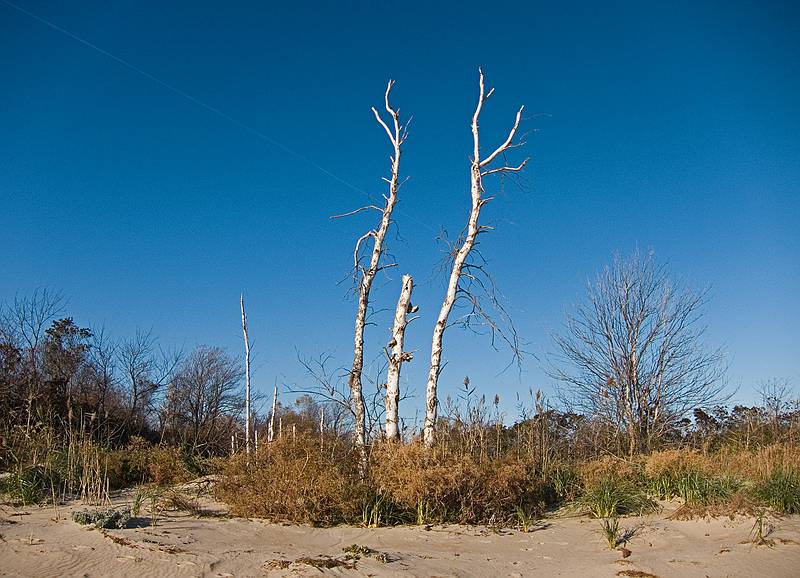 Nov. 5, 2011 - Sandy Point State Reservation, Plum Island, Massachusetts.