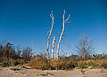 Nov. 5, 2011 - Sandy Point State Reservation, Plum Island, Massachusetts.