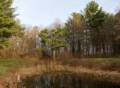 Nov. 26, 2011 - Mill Pond Recreation Area, West Newbury, Massachusetts.