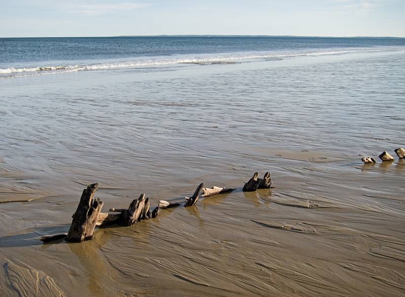 Part of a sunken boat?<br />Dec. 22, 2011 - Parker River National Wildlife Refuge, Plum Island, Massachusetts.