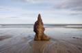 An 8" peice of driftwood.<br />Dec. 22, 2011 - Parker River National Wildlife Refuge, Plum Island, Massachusetts.