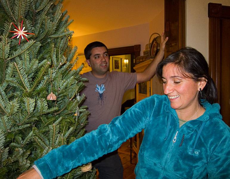 Melody placing an ornament on the Xmas tree while Sati looks on.<br />Dec. 22, 2011 - Merrimac, Massachusetts.
