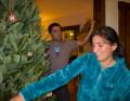 Melody placing an ornament on the Xmas tree while Sati looks on.<br />Dec. 22, 2011 - Merrimac, Massachusetts.