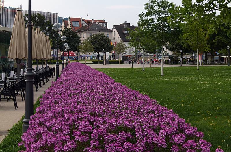 Park by the harbor.<br />August 3, 2011 - Bregenz, Austria.