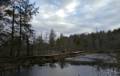 Jan. 8, 2012 - Ipswich River Wildlife Sanctuary, Topsfield, Massachusetts