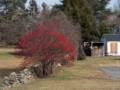 Jan. 10, 2012 - Merrimac, Massachusetts