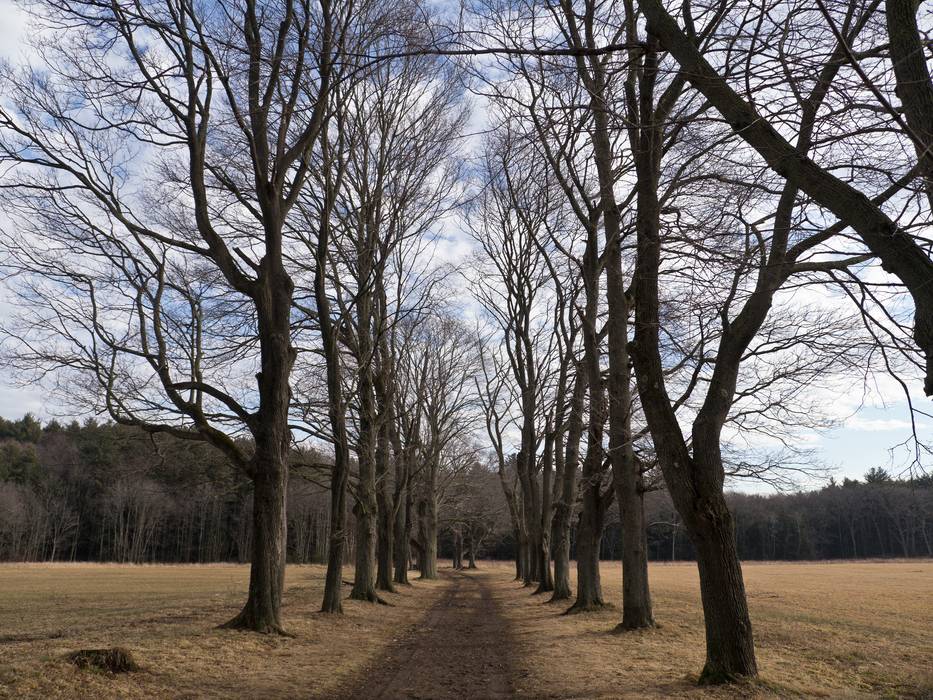 Feb. 1, 2012 - Appleton Farms, Ipswich, Massachusetts.