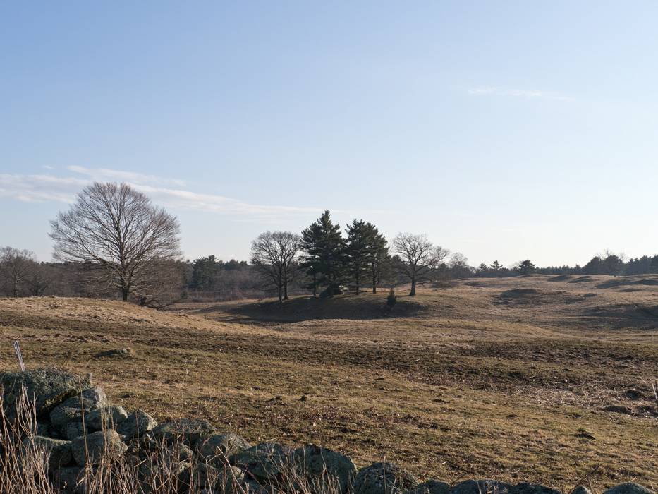 Feb. 1, 2012 - Appleton Farms, Ipswich, Massachusetts.